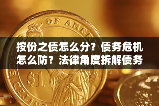 北京按份之债怎么分？债务危机怎么防？法律角度拆解债务分配与风险自保指南
