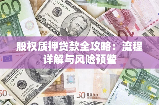 北京股权质押贷款全攻略：流程详解与风险预警