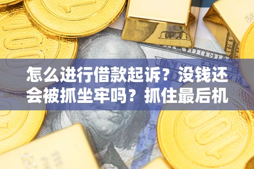 北京怎么进行借款起诉？没钱还会被抓坐牢吗？抓住最后机会！