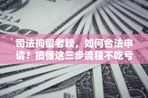 北京司法拘留老赖，如何合法申请？搞懂这三步流程不吃亏！