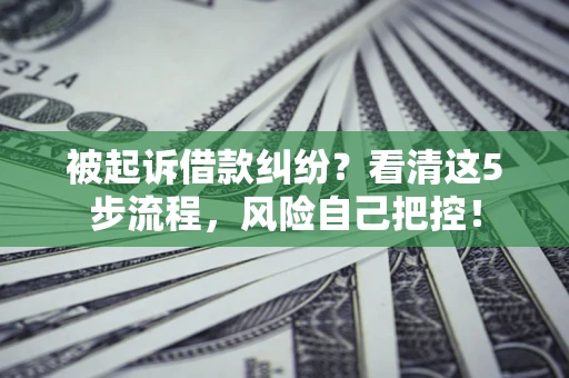 北京被起诉借款纠纷？看清这5步流程，风险自己把控！