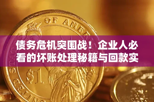 北京债务危机突围战！企业人必看的坏账处理秘籍与回款实战指南